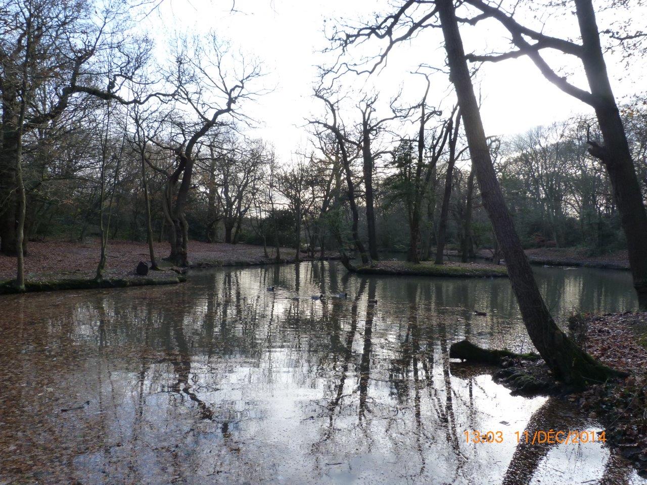 Highams Park Lake Dam Works update from the City Corporation – 12th December 2014