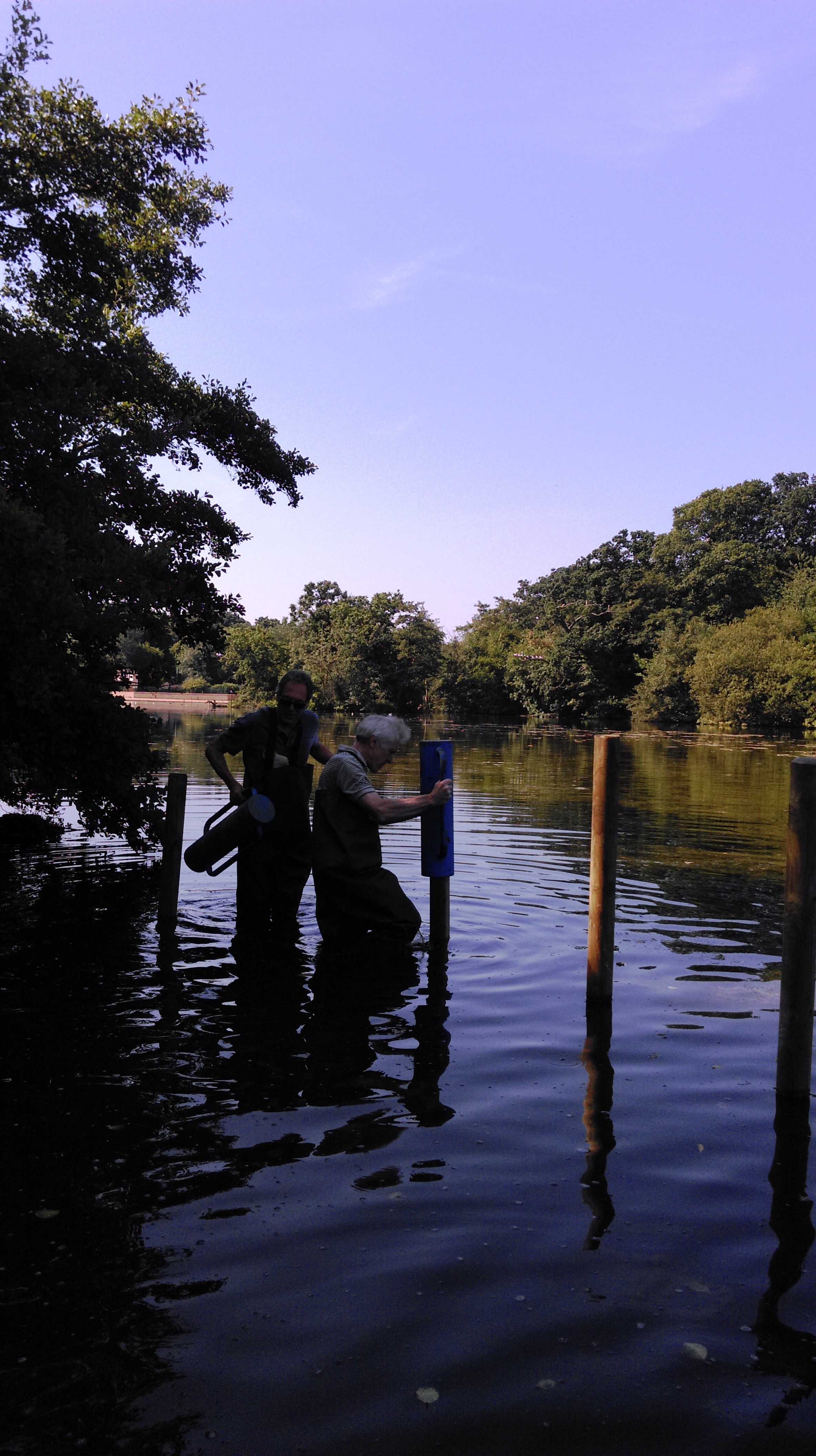 The Highams Park Snedders have been working at Highams Park Lake