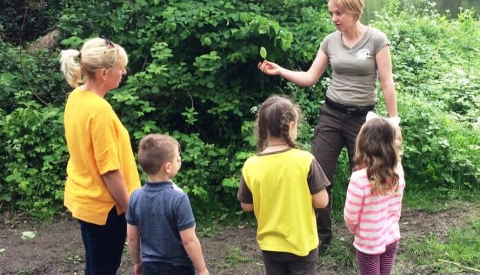 Questionnaire – would you like forestry classes for children in Highams Park?
